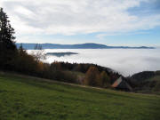 Blick nach Südwesten über den Langeckhof am 1.11.2011 - unten im Dreisamtal und Rheintal Nebel