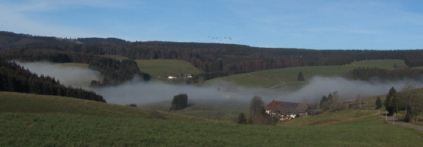 Blick nach Westen in die Neuwelt von der Platte aus zu Hinterbauernhof und Brosihof (vorne) am 12.1.2009 - der Nebel kommt ganz langsam die Neuwelt hoch