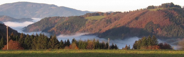 Blick vom Steigweg beim Metzgershusle nach Sden ber Wagensteig und Buchenbach im Nebel am 11.11.1011