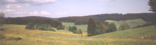 Blick nach Osten ber Einsiedel ins Jostal im Mai 1996