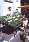 Kräuter auf dem Bauernmarkt bei Artemisia am 23.9.2000
