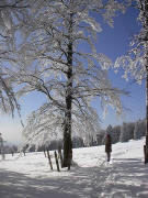 Kandel am 5.2.2005 - Blick nach Westen bei eisigen -25 Grad